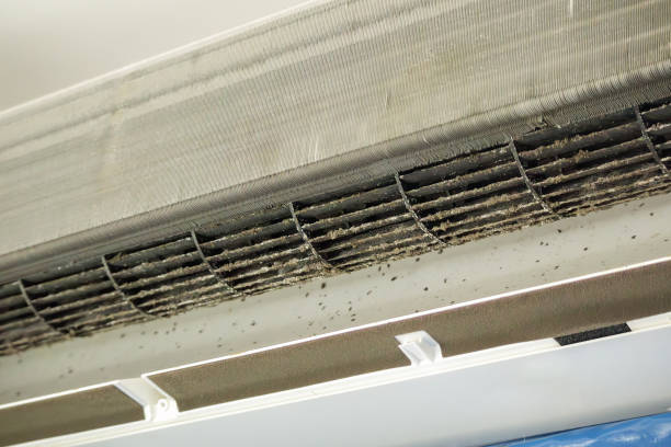 Best Dryer Vent Cleaning Services  in Grinnell, IA